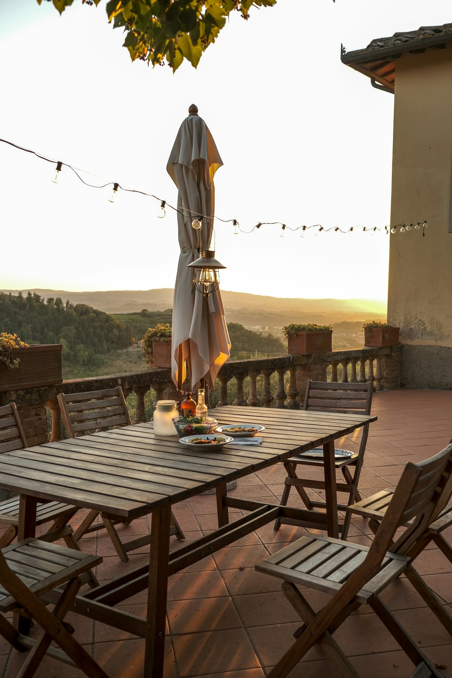 From Branch to Bottle: The Magic of Tuscan Olive Oil